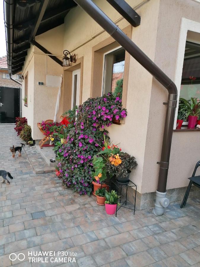 Rasnov Retreat Hotel Exterior foto