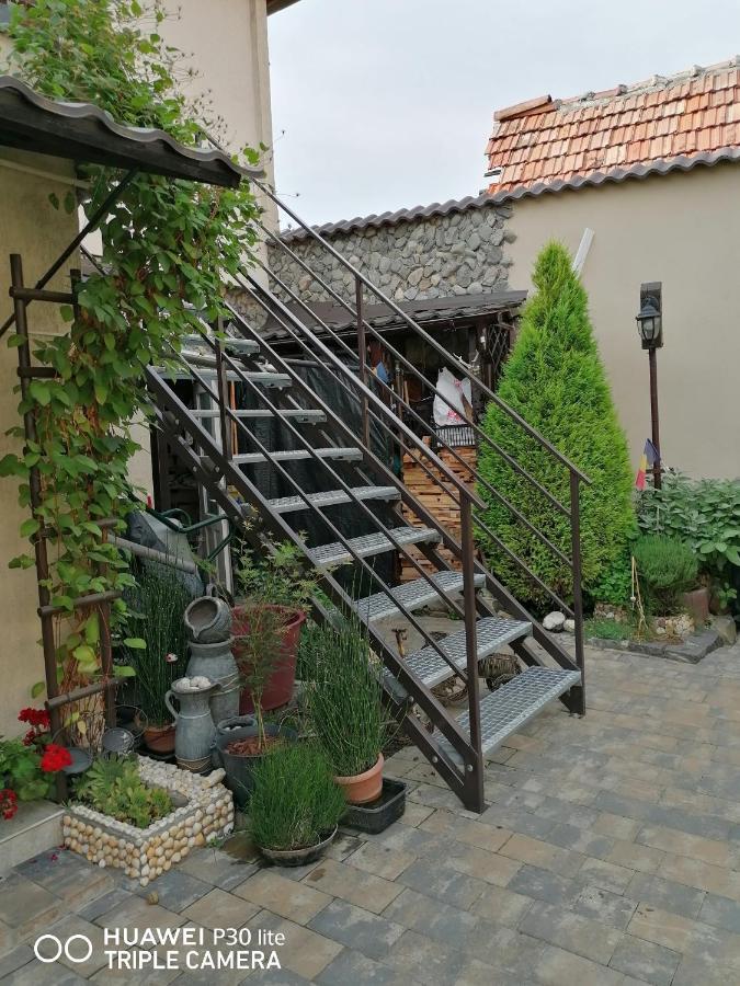Rasnov Retreat Hotel Exterior foto